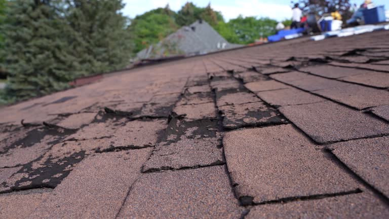 Best Roof Insulation Installation  in Pensacola Station, FL